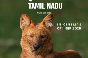 ‘வைல்ட் தமிழ்நாடு’ பிவிஆர் திரையரங்குகளில் வெளியாகிறது: தமிழ்நாட்டின் அரிய பல்லுயிர் சூழலை வெள்ளித்திரைக்குக் கொண்டுவரும் வனவிலங்கு ஆவணப்படம்!